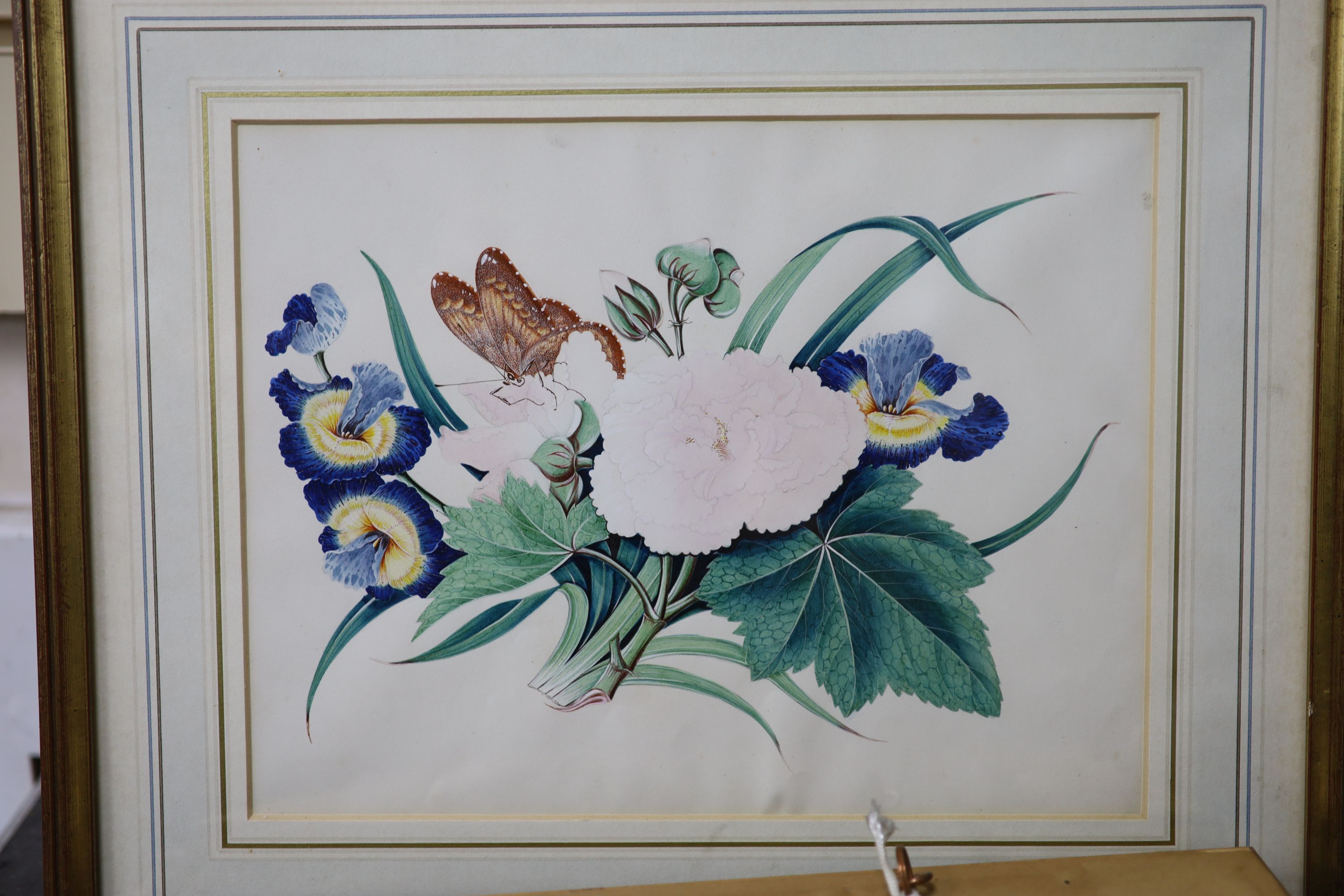 19th century English School, a set of eight watercolour and gouache botanical studies with butterflies, 20 x 27cm